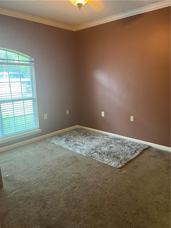 1500 9th Avenue Glenmora, LA 71433 - Photo 9 of 22 Gallery Image 9
