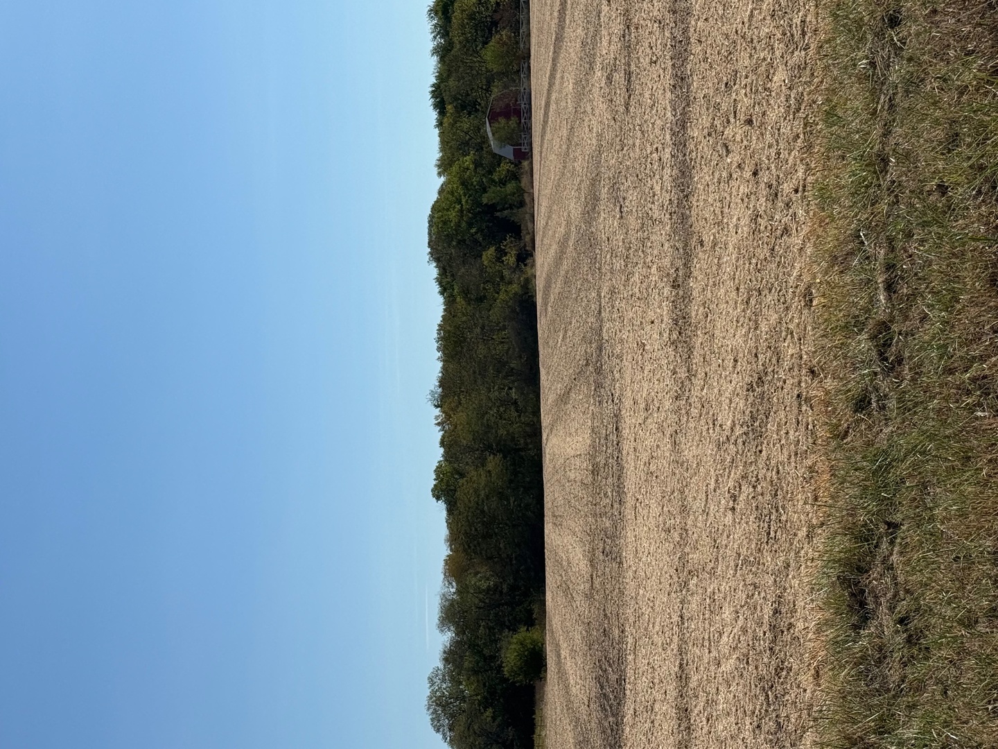 700 E Fisher, IL 61843 - Photo 2 of 2 a close up of a plant