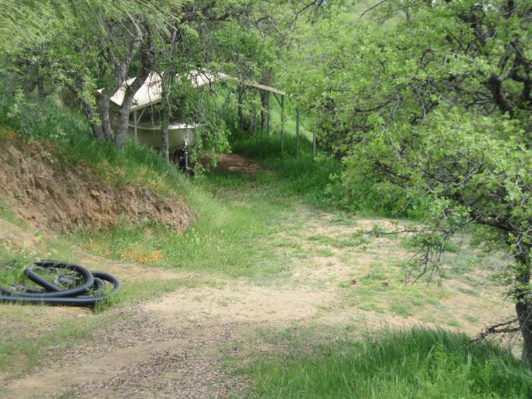 30772 Seminole Road Tollhouse, CA 93667 - Photo 19 of 30 Gallery Image 19