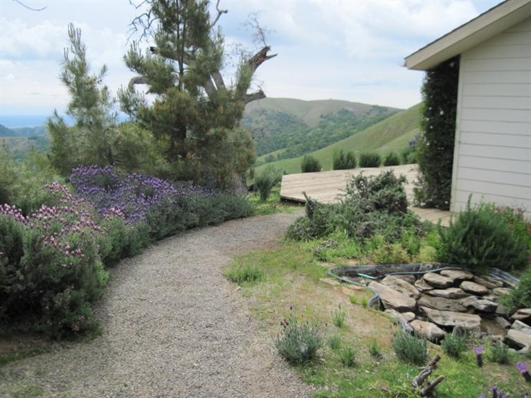 30772 Seminole Road Tollhouse, CA 93667 - Photo 20 of 30 Gallery Image 20