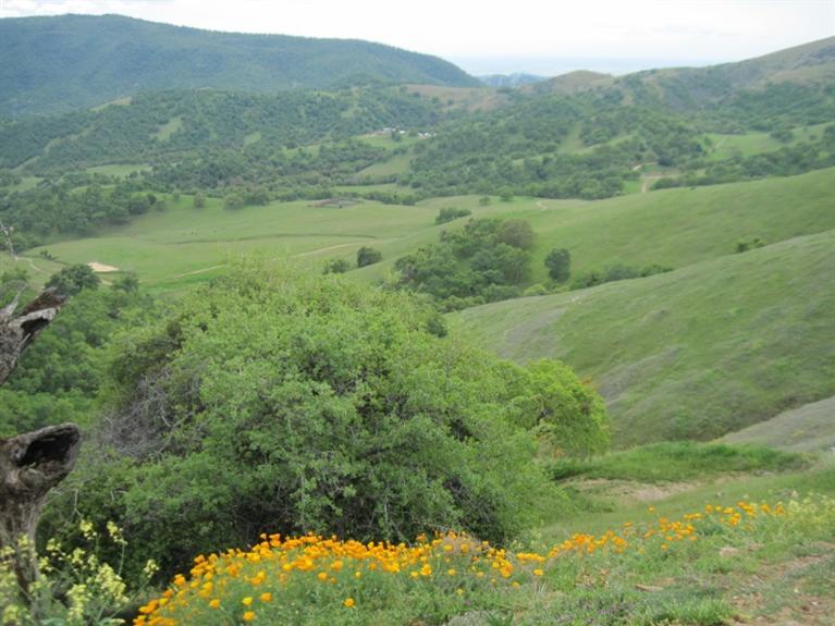 30772 Seminole Road Tollhouse, CA 93667 - Photo 21 of 30 Gallery Image 21