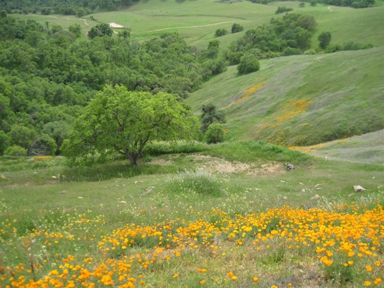 30772 Seminole Road Tollhouse, CA 93667 - Photo 24 of 30 Gallery Image 24