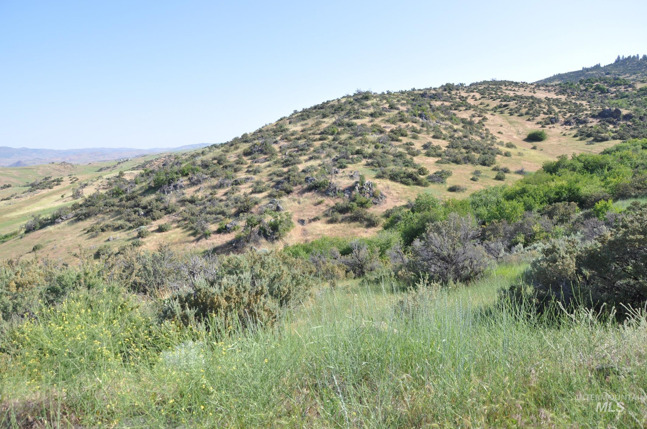 Tbd Holbrook Lane Ola, ID 83657 - Photo 11 of 14 View of mountain backdrop