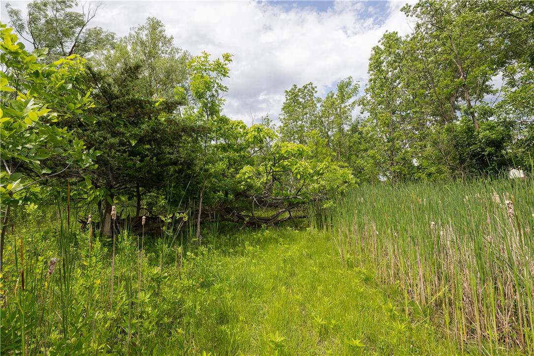 158 Jefferson Road Rochester, NY 14623 - Photo 4 of 7