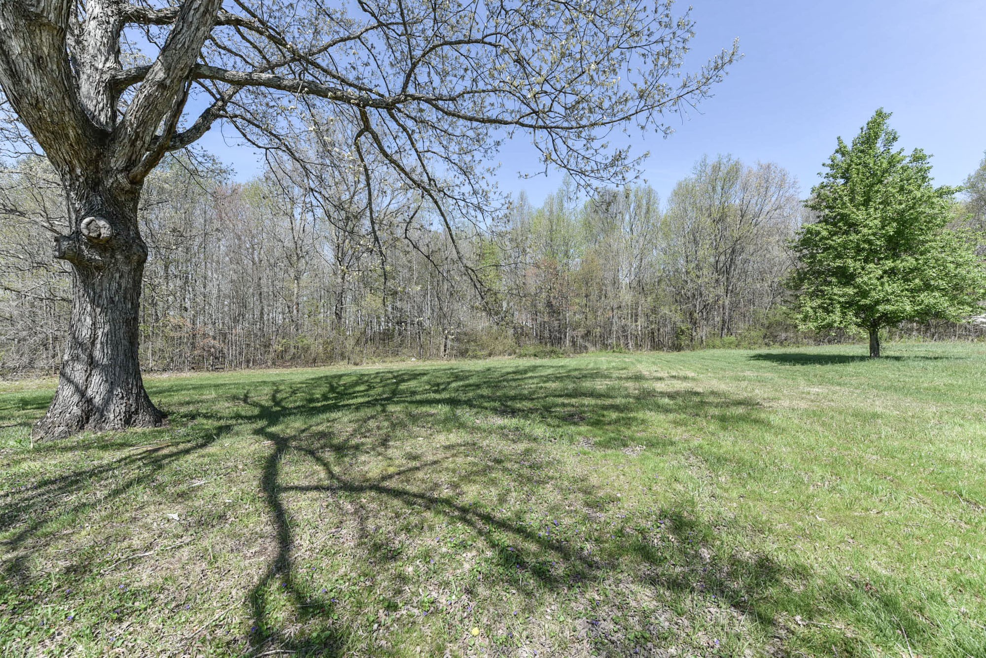 4632 Highway 431 Springfield, TN 37172 - Photo 49 of 56 Gallery Image 49