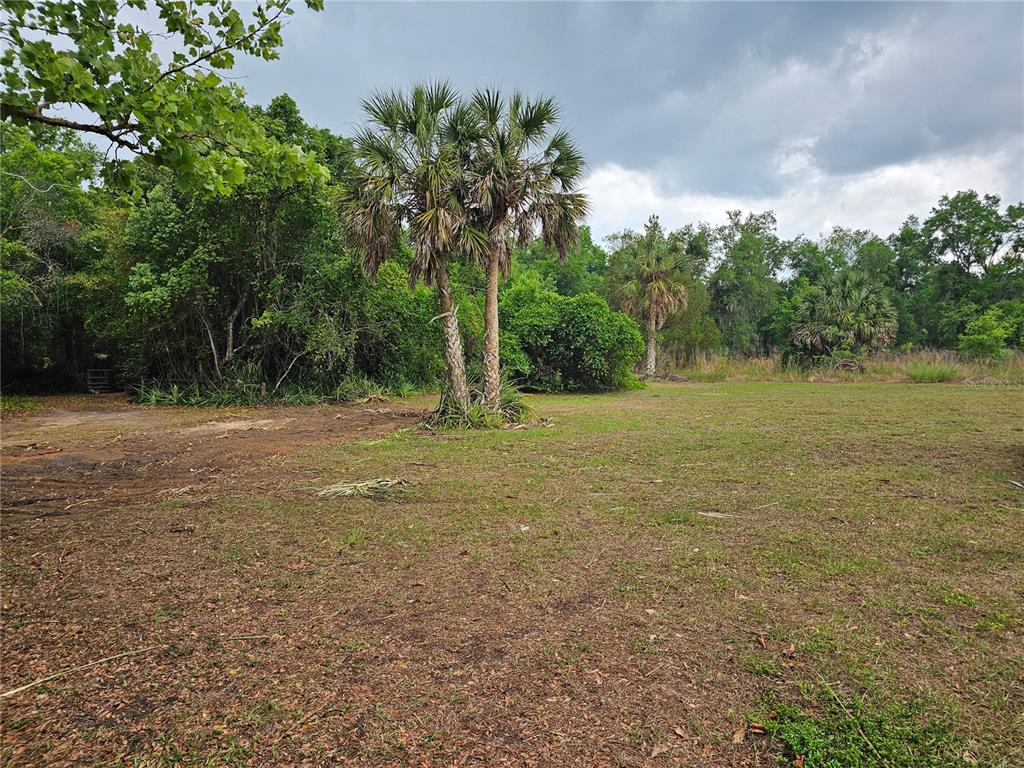 10679 Goose Prairie Road Leesburg, FL 34788 - Photo 6 of 21