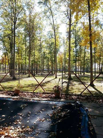 13945 South Custer Road Dundee, MI 48131 - Photo 4 of 9 Rear View