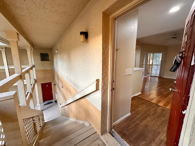 a view of a yard with plants