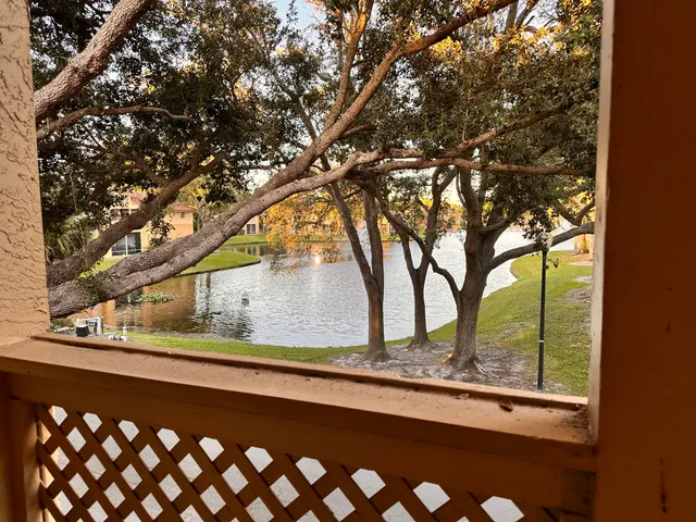 a view of trees from a window