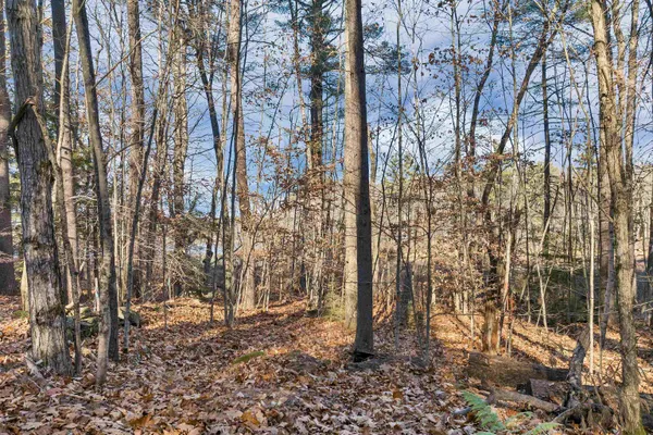 $615,000 | Camp Road, Unit 14, Wolfeboro, NH 03894