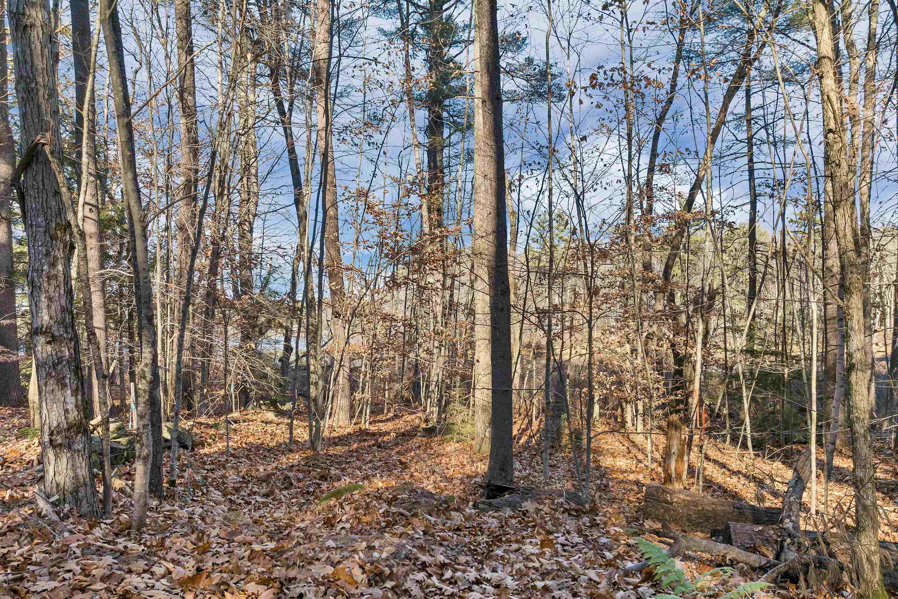 Camp Road, Unit 14 Wolfeboro, NH 03894 - Photo 15 of 20