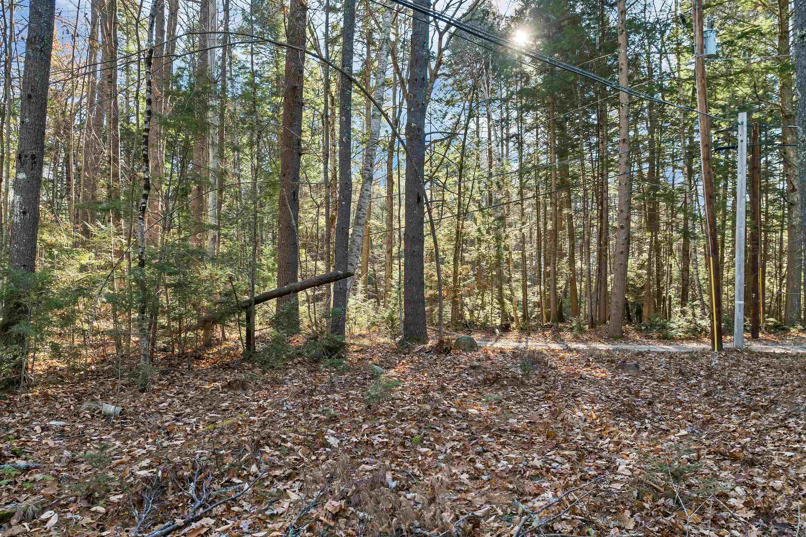 Camp Road, Unit 14 Wolfeboro, NH 03894 - Photo 18 of 20