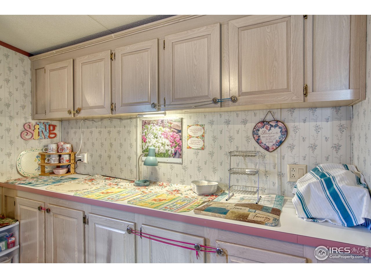 227 North 2nd Street, Unit 20 Berthoud, CO 80513 - Photo 6 of 15 Plenty of storage