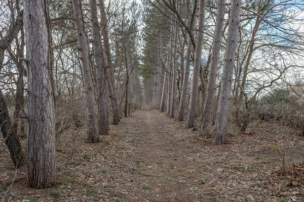 $580,000 | W7941 Tulip Lane, Holland, WI 54636