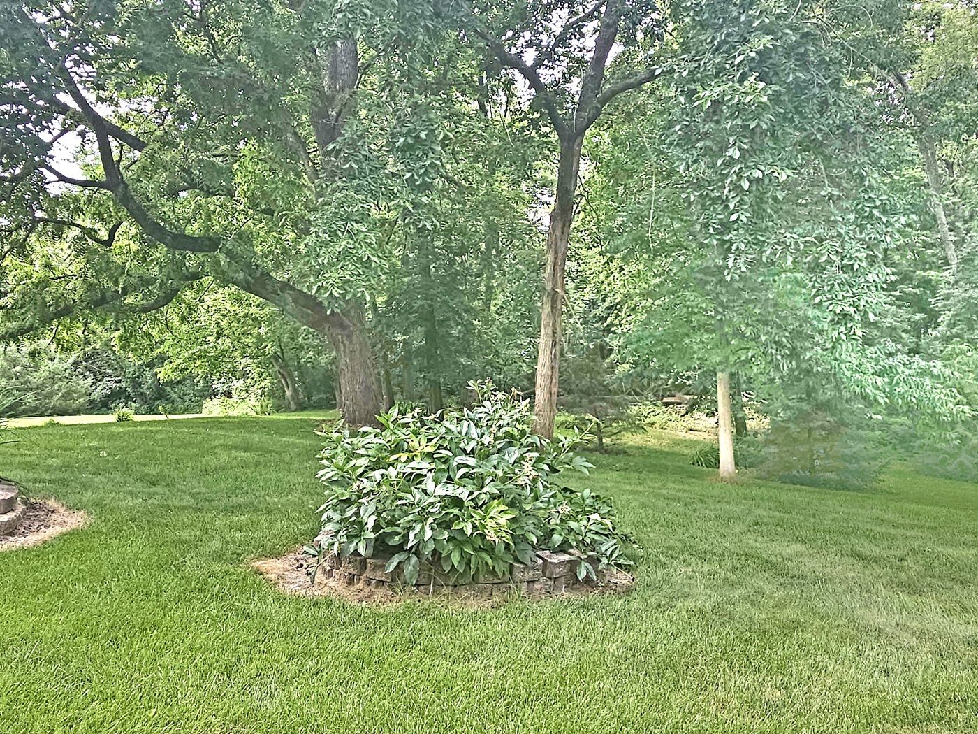 133 Fieldstone Lane Dixon, IL 61021 - Photo 31 of 42