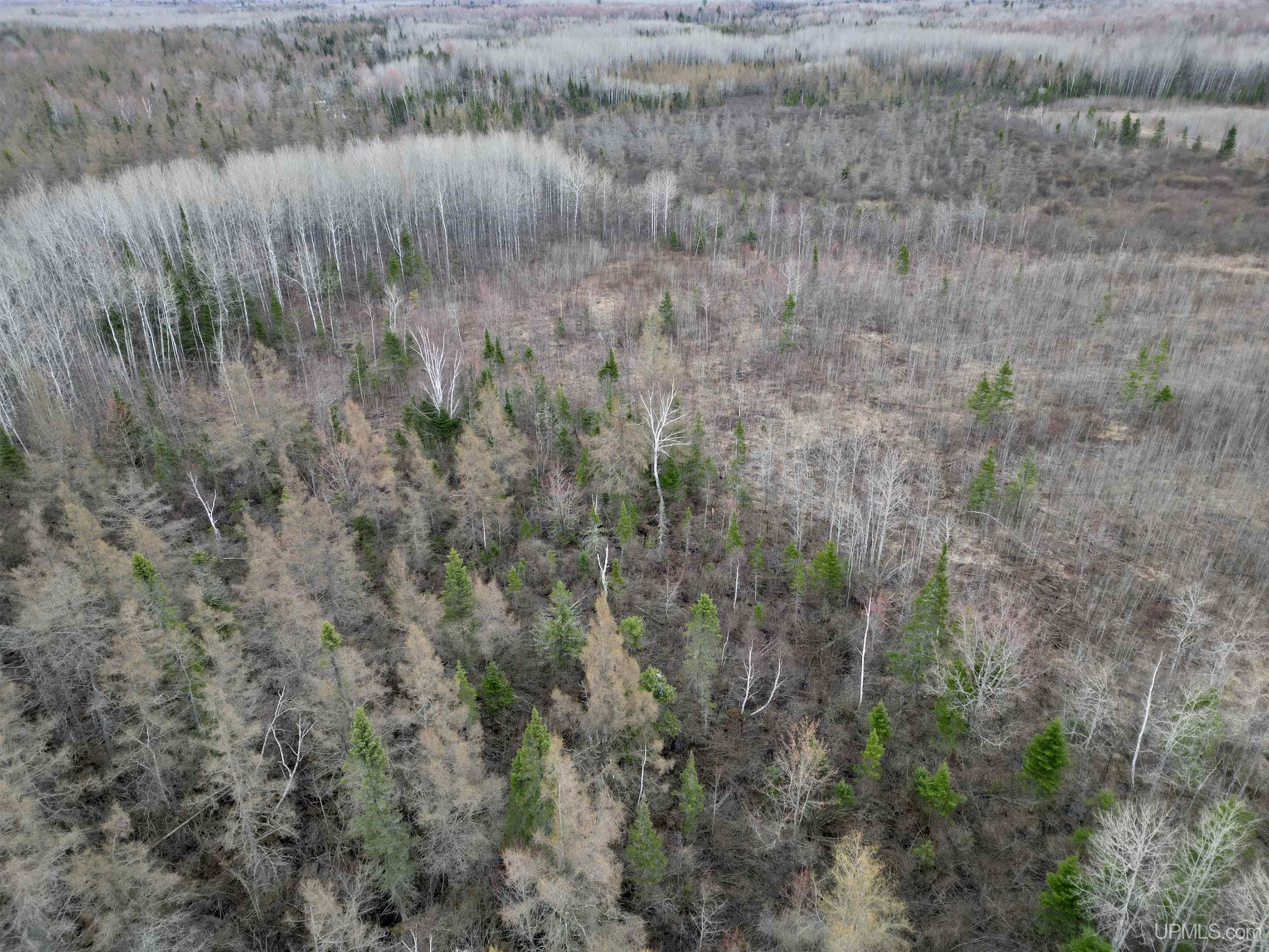 80 North Rd Rock Mi 49880 Road Rock, MI 49880 - Photo 9 of 12