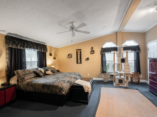 2901-2905 Campbell Road, Unit 2 Raleigh, NC 27606 - Photo 11 of 23 Master Bedroom