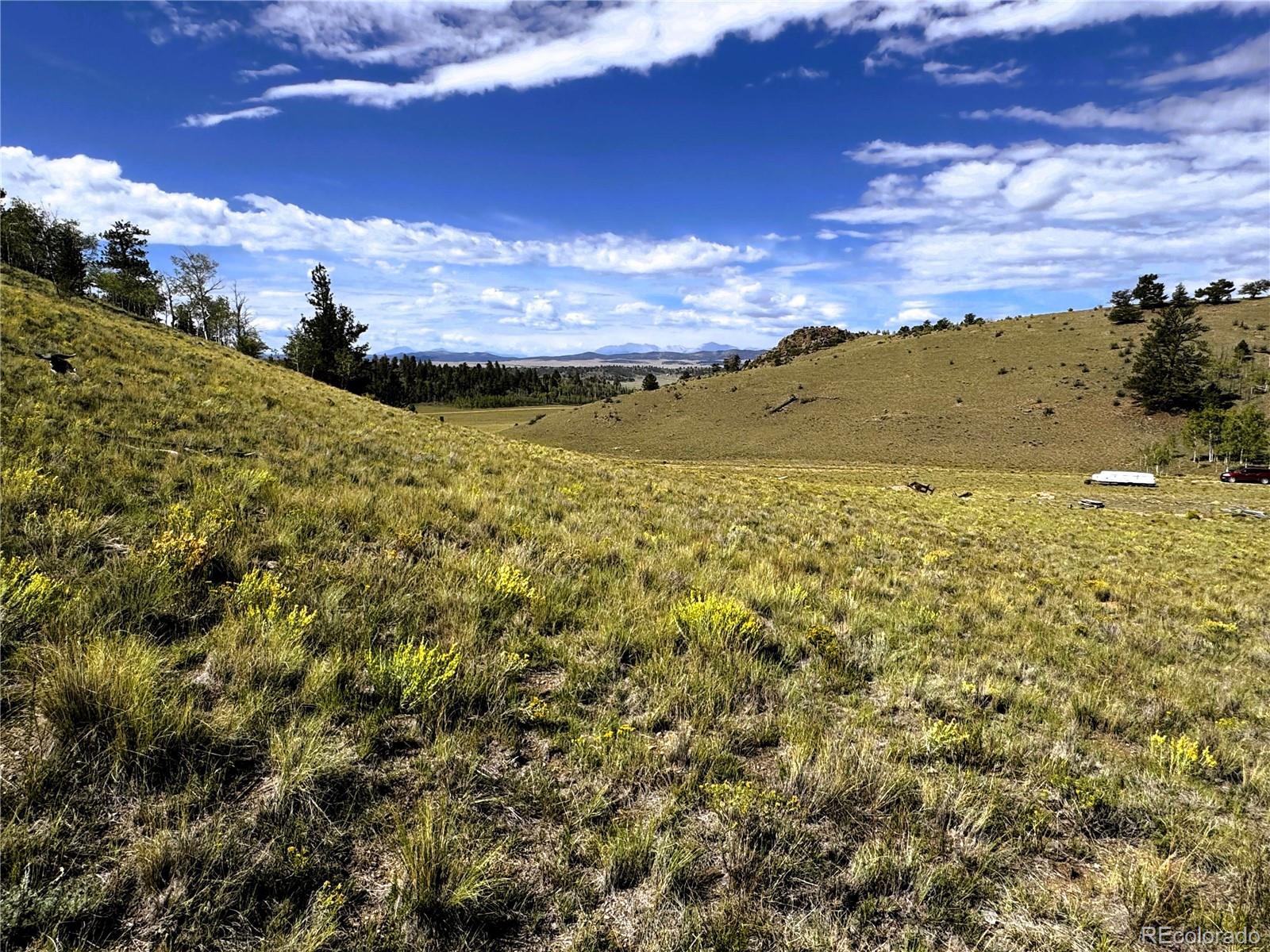 8390 Chickasaw Road Hartsel, CO 80449 - Photo 13 of 16 Gallery Image 13