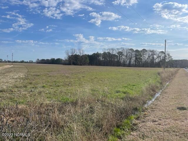 2152 Vause Road Clarkton, NC 28433 - Photo 1 of 1 ROAD VIEW