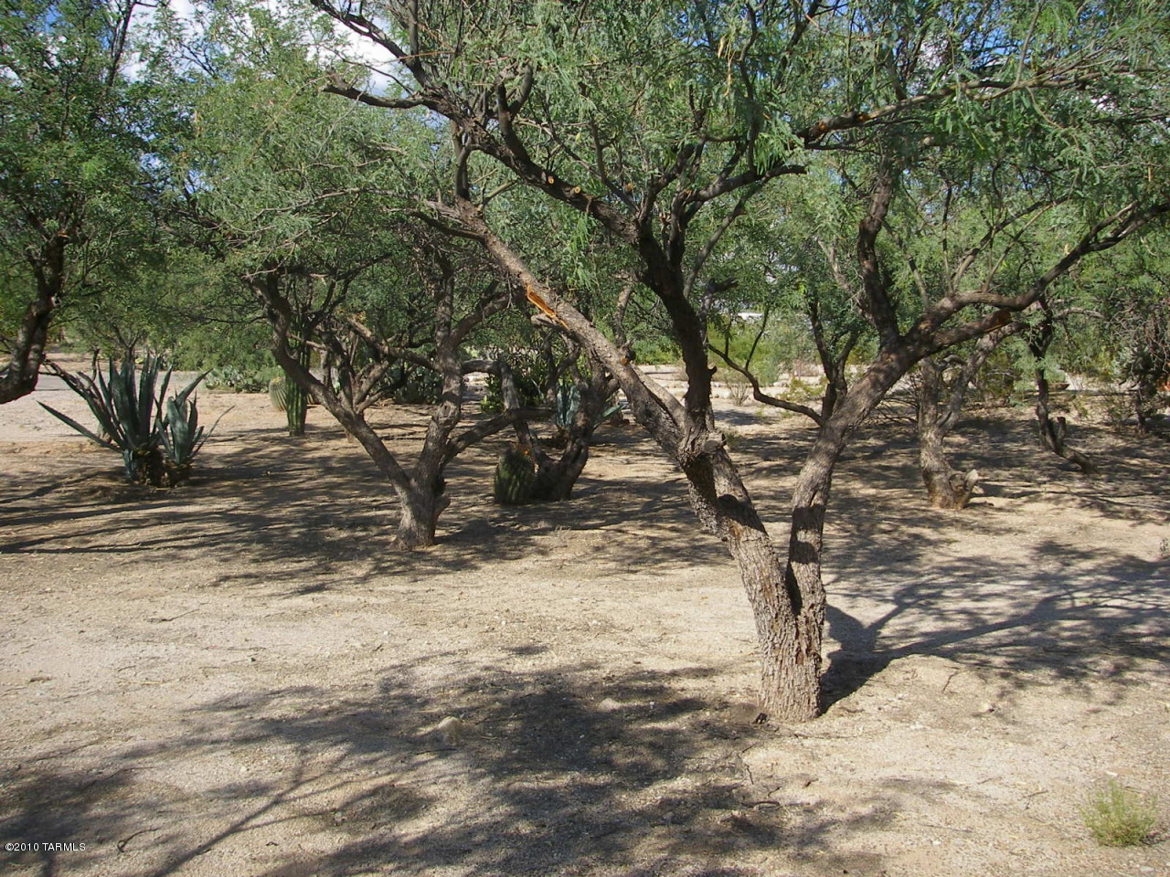 9102 East Indian Hills Road Tucson, AZ 85749 - Photo 4 of 9