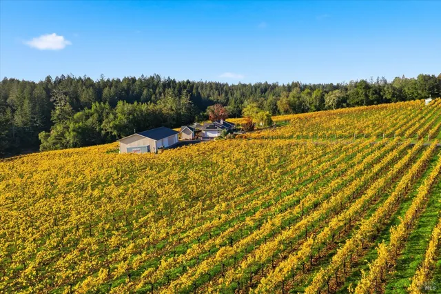 $3,750,000 | 4630 Maddocks Road, Sebastopol, CA 95472