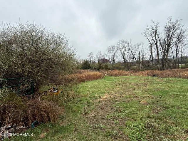 a view of a backyard with a mountain