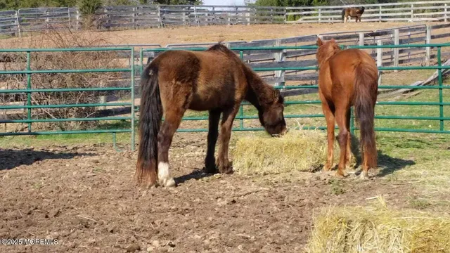 $1,599,000 | 752 Amwell Road, Hillsborough, NJ 08844