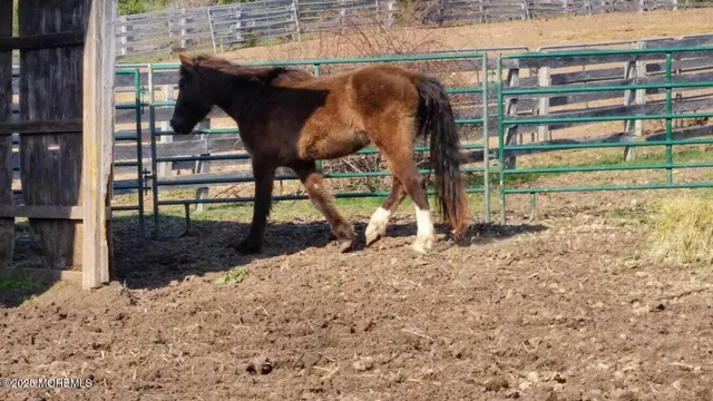 $1,599,000 | 752 Amwell Road, Hillsborough, NJ 08844