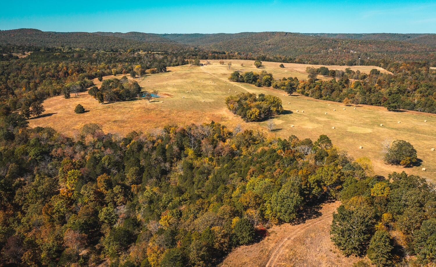 2 Gunnison Road Kirbyville, MO 65679 - Photo 9 of 14 IMG_0342