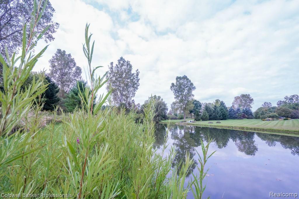 2963 Warren Road Ann Arbor, MI 48105 - Photo 4 of 57 MLS4_pond.jpg