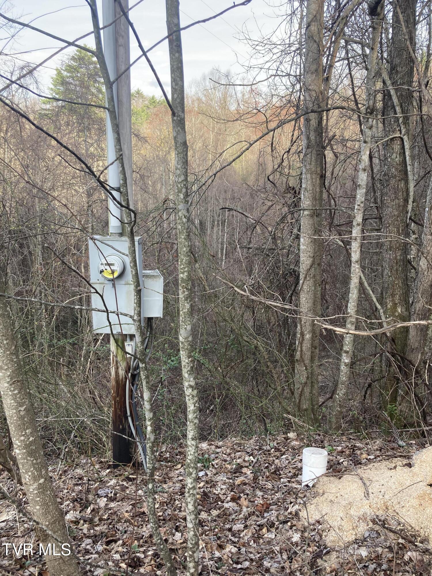 1008 Locust Lane, Unit 38 Butler, TN 37640 - Photo 4 of 11 Lot 38 4