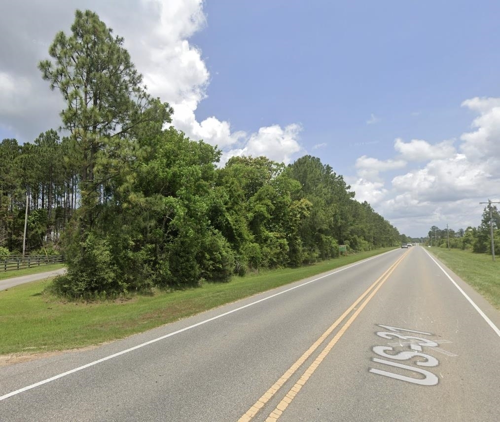 0 U.S. Highway 31 Stapleton, AL 36578 - Photo 1 of 2 View of asphalt road