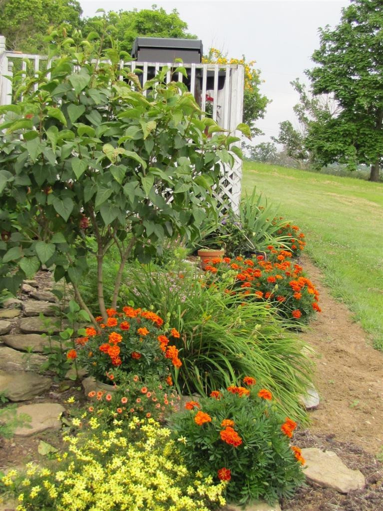 1000 Breck Road Owenton, KY 40359 - Photo 4 of 25 Gallery Image 4