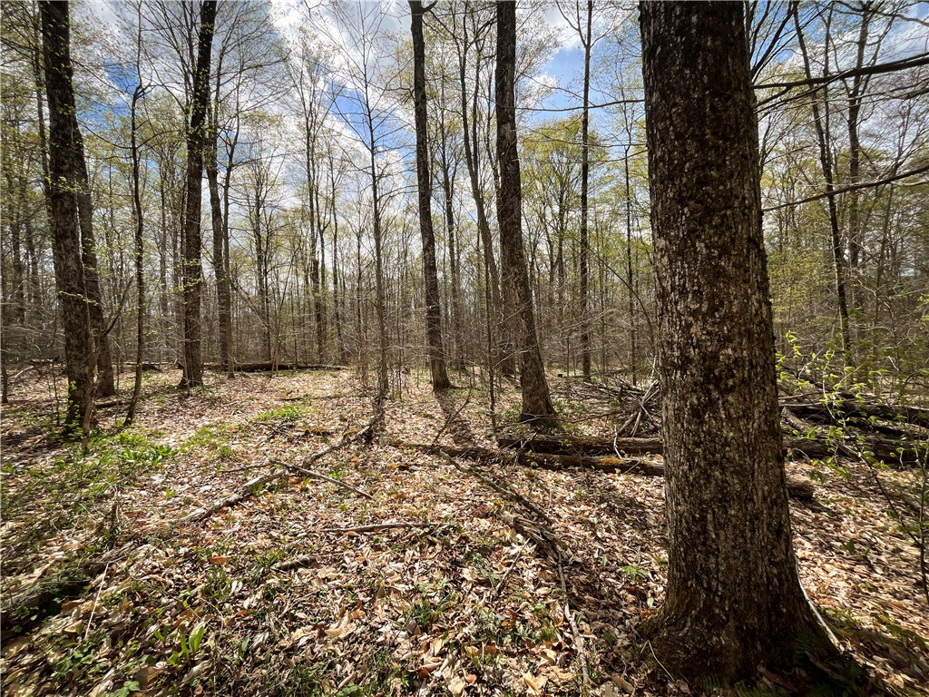 West Creek Road Richford, NY 13835 - Photo 26 of 44