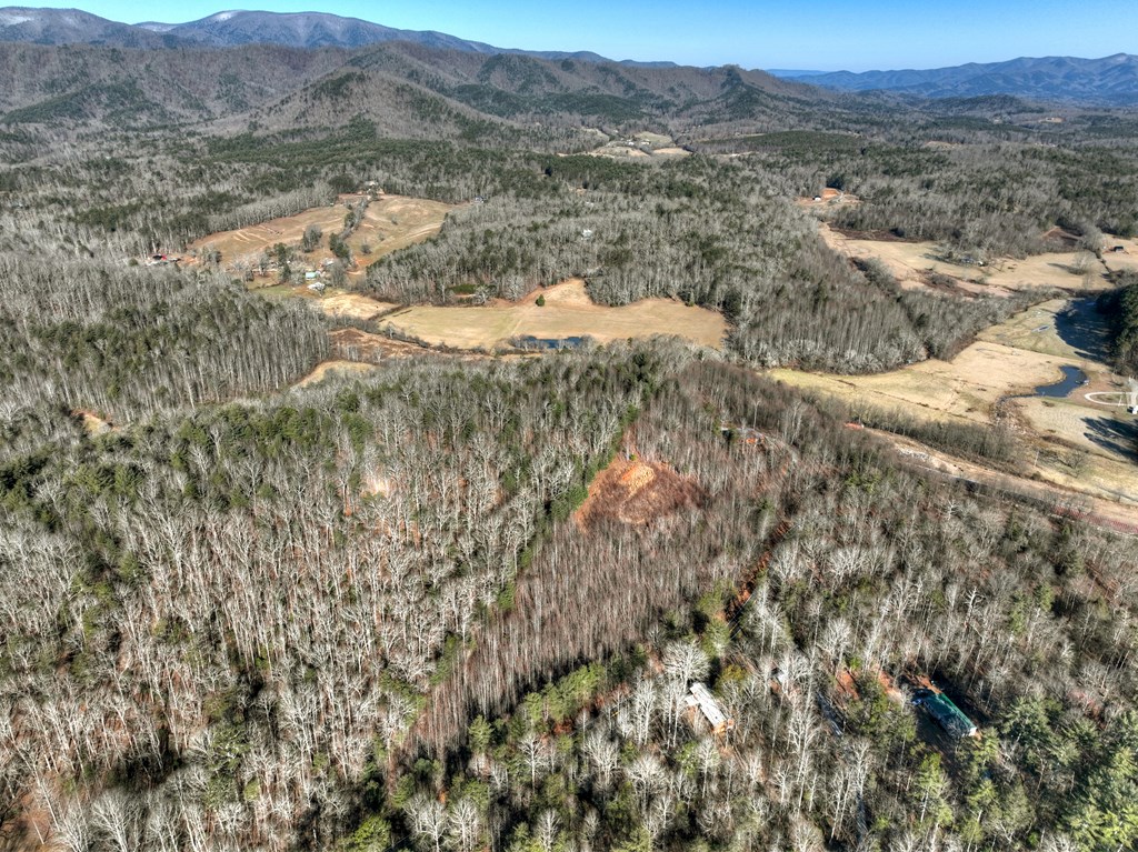 136 B Pack Creek Road Blue Ridge, GA 30513 - Photo 23 of 87 a view of a dry yard with mountains in the background
