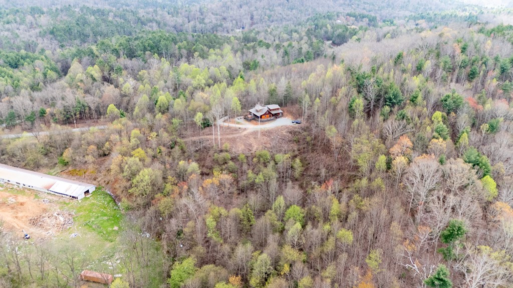 136 B Pack Creek Road Blue Ridge, GA 30513 - Photo 25 of 87 a view of a yard