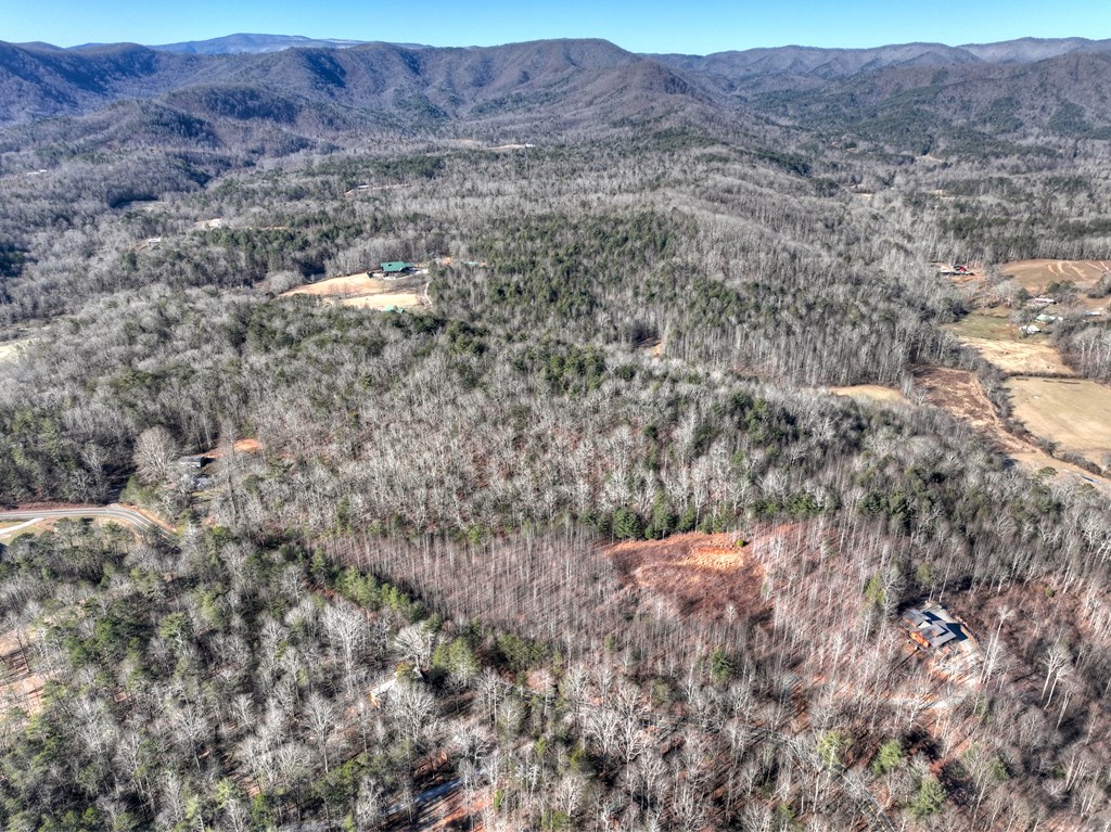 136 B Pack Creek Road Blue Ridge, GA 30513 - Photo 26 of 87