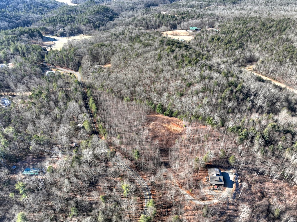 136 B Pack Creek Road Blue Ridge, GA 30513 - Photo 28 of 87