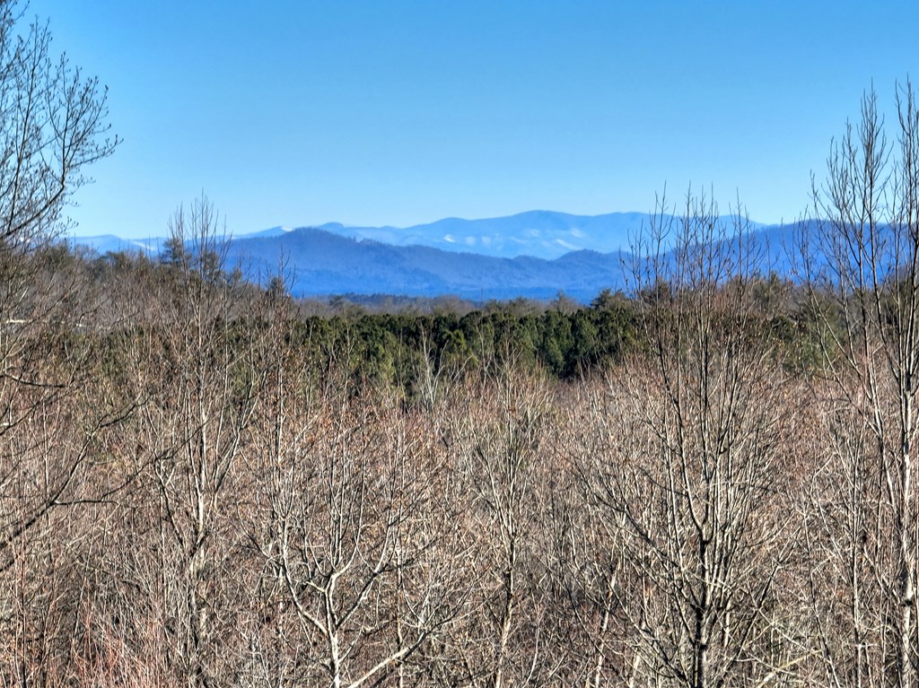 136 B Pack Creek Road Blue Ridge, GA 30513 - Photo 34 of 87 a view of mountain with trees in the background