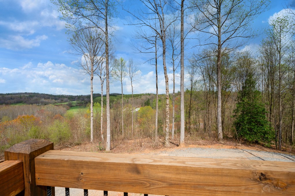 136 B Pack Creek Road Blue Ridge, GA 30513 - Photo 52 of 87