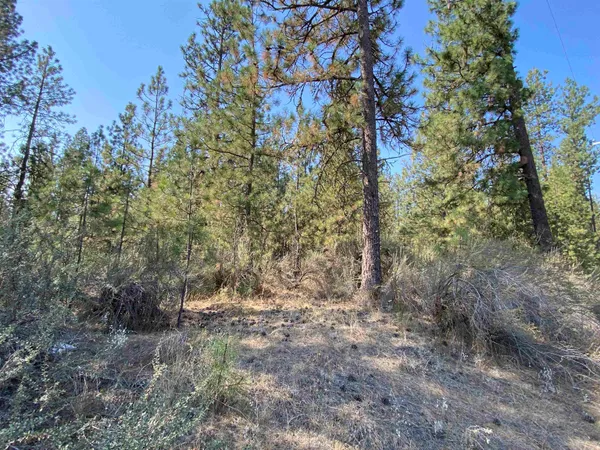 $199,900 | 291 Hwy Nine Mile Falls, Nine Mile Falls, WA 99026