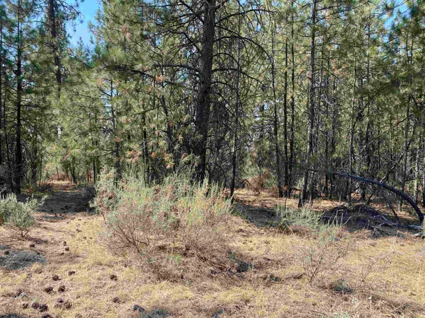 $199,900 | 291 Hwy Nine Mile Falls, Nine Mile Falls, WA 99026