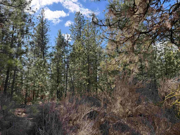 $199,900 | 291 Hwy Nine Mile Falls, Nine Mile Falls, WA 99026