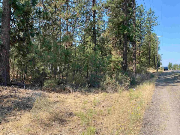 $199,900 | 291 Hwy Nine Mile Falls, Nine Mile Falls, WA 99026