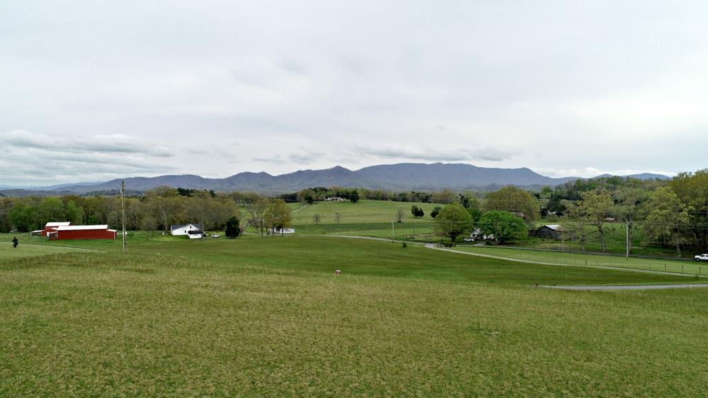 9 Swannsylvania Road Dandridge, TN 37725 - Photo 22 of 23 Gallery Image 22