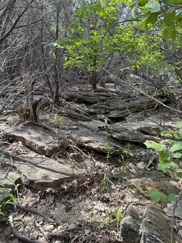a view of a yard with plants and a bench