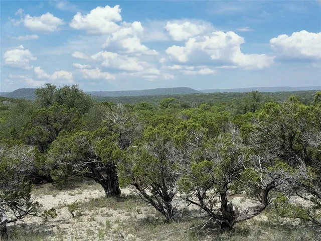a view of a bunch of trees in a field