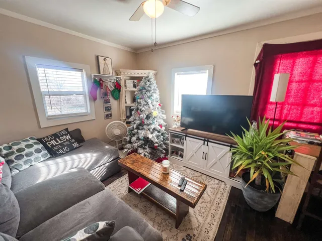a living room with furniture and a potted plant
