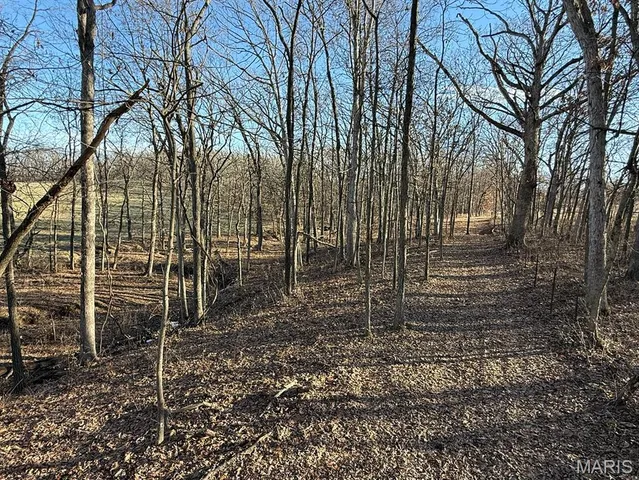$1,080,800 | 0 Highway D (77.2 /- Acres ) Tract 1 Eolia Mo 63344, Eolia, MO 63344