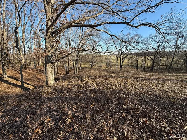 $1,080,800 | 0 Highway D (77.2 /- Acres ) Tract 1 Eolia Mo 63344, Eolia, MO 63344